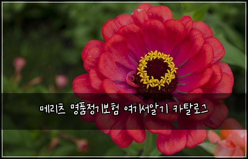 ๋ฉ๋ฆฌ์ธ ๋ช
ํ์ ๊ธฐ๋ณดํ ์ฌ๊ธฐ์์๊ธฐ ์นดํ๋ก๊ทธ