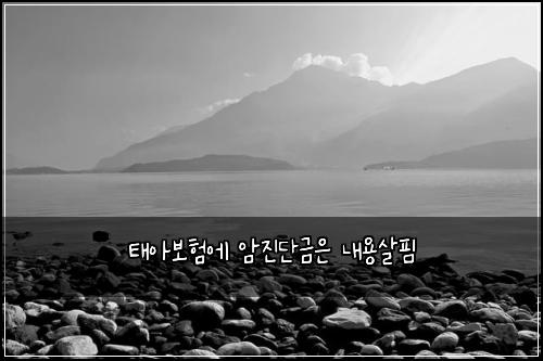 νμ보νμ μμ§λ¨κΈμ λ΄μ©μ΄ν