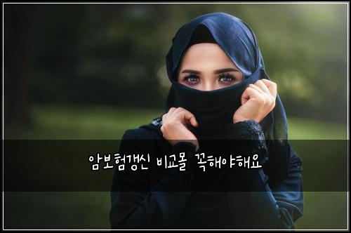 암보험갱신 비교몰 꼭해야해요
