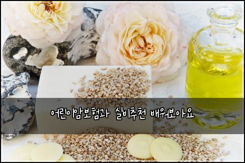 ์ด๋ฆฐ์ด์๋ณดํ๊ณผ ์ค๋น์ถ์ฒ ๋ฐฐ์๋ณด์์