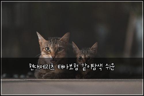 ํ๋๋ฉ๋ฆฌ์ธ ํ์๋ณดํ ๊ฐ์ดํ์ ์ฌ์ด
