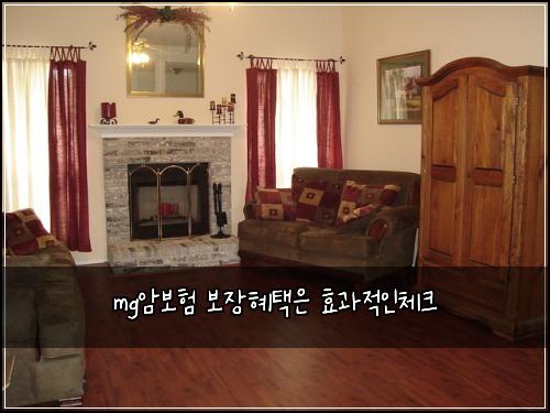 mg암보험 보장혜택은  효과적인체크