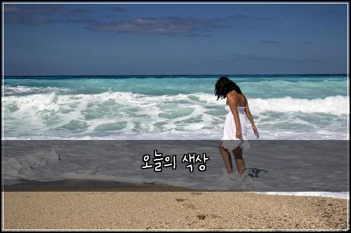 오늘의 색상
