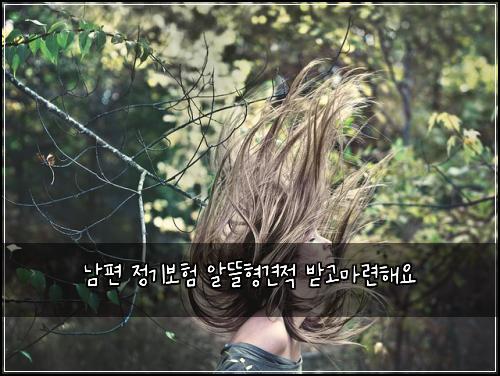 남편 정기보험 알뜰형견적  받고마련해요