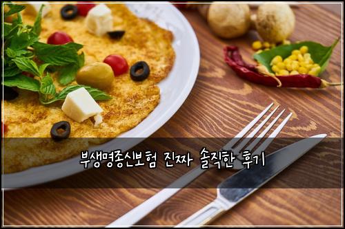 부생명종신보험 진짜 솔직한 후기