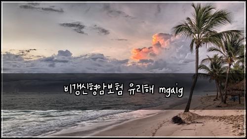 λΉκ°±μ νμ보ν μ λ¦¬ν΄ mgaig