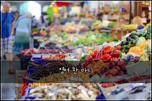 영어 한 마디