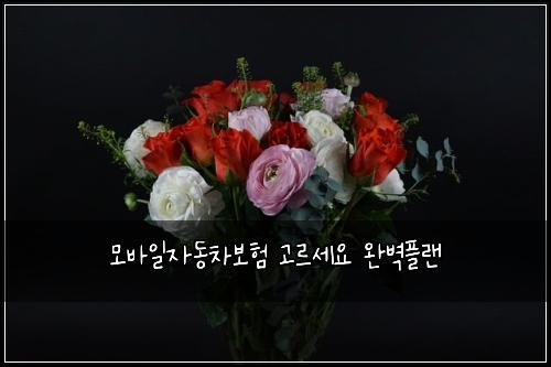 모바일자동차보험 고르세요  완벽플랜