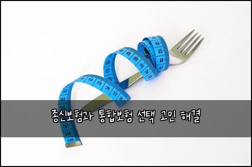 종신보험과 통합보험 선택 고민 해결