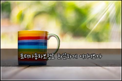 ํฌํฐ์๋์ฐจ๋ณดํ๋ฃ ํ๋ํ๊ฒ ์ฌ๊ธฐ์๋ณด์