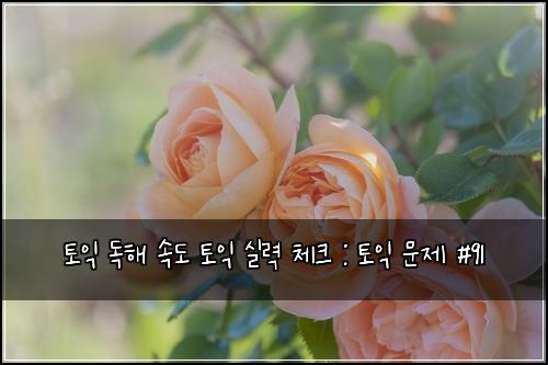토익 독해 속도 토익 실력 체크 : 토익 문제 #91
