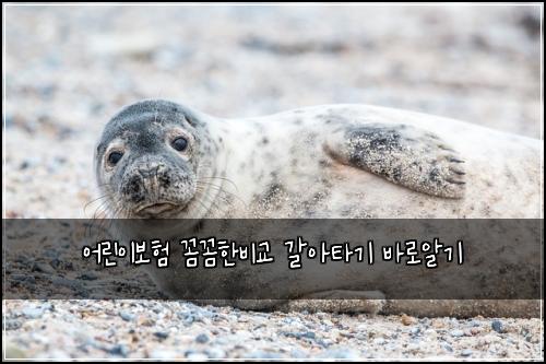 어린이보험 꼼꼼한비교  갈아타기 바로알기