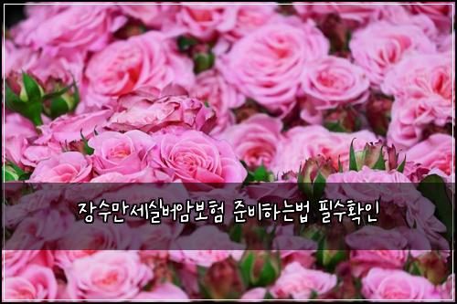 μ₯μλ§μΈμ€λ²μ보ν μ€λΉνλλ² νμνμΈ