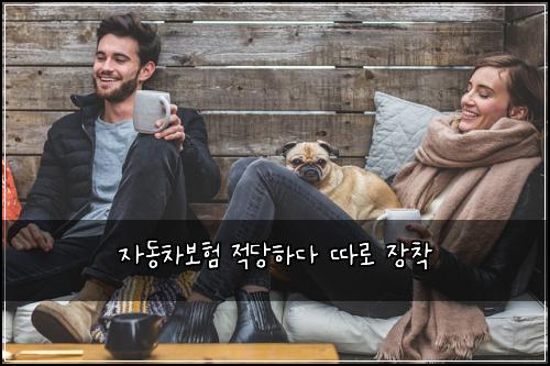 ์๋์ฐจ๋ณดํ ์ ๋นํ๋ค ๋ฐ๋ก ์ฅ์ฐฉ