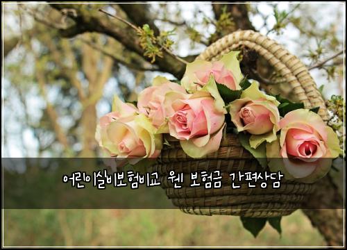 ์ด๋ฆฐ์ด์ค๋น๋ณดํ๋น๊ต ์ฌ ๋ณดํ๊ธ ๊ฐํธ์๋ด