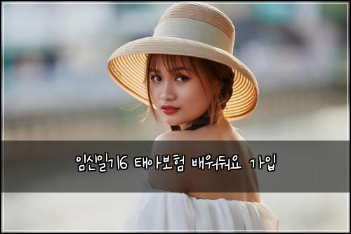 임신일기6 태아보험 배워둬요  가입