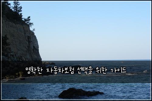 명확한 자동차보험 선택을 위한 가이드