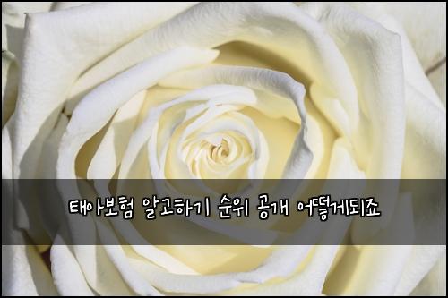 ํ์๋ณดํ ์๊ณ ํ๊ธฐ ์์ ๊ณต๊ฐ ์ด๋ป๊ฒ๋์ฃ