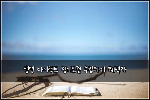 생명 다이렉트 정기보험 수집하기  혜택과