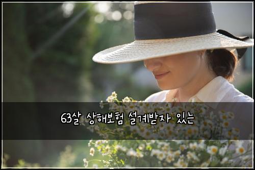 63살 상해보험 설계받자  있는