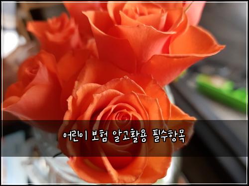 ์ด๋ฆฐ์ด ๋ณดํ ์๊ณ ํ์ฉ ํ์ํญ๋ชฉ