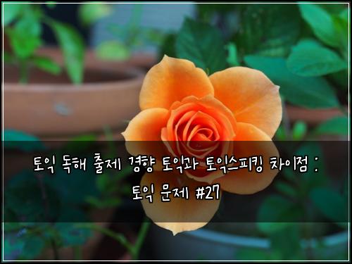 토익 독해 출제 경향 토익과 토익스피킹 차이점 : 토익 문제 #27