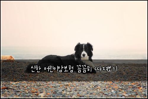 신한 어린이암보험 꼼꼼히 따져보기