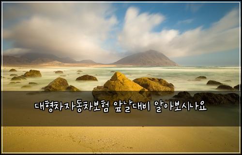 λνμ°¨μλ차보ν μλ λλΉ μμ보μλμ