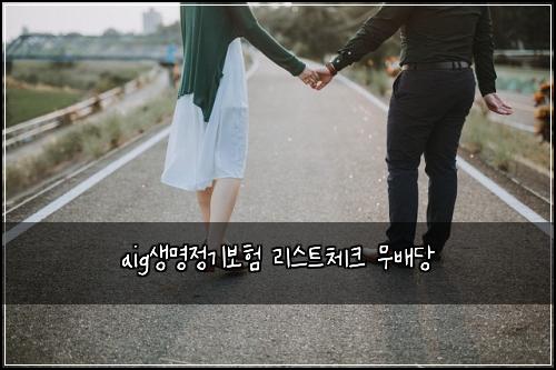 aig์๋ช
์ ๊ธฐ๋ณดํ ๋ฆฌ์คํธ์ฒดํฌ ๋ฌด๋ฐฐ๋น