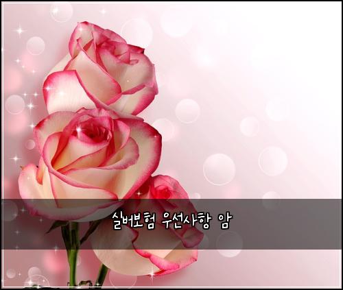 ์ค๋ฒ๋ณดํ ์ฐ์ ์ฌํญ ์