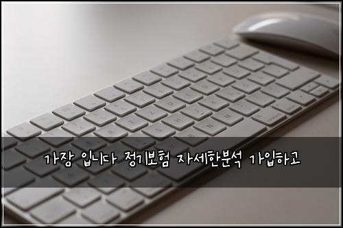 가장 입니다 정기보험 자세한분석  가입하고