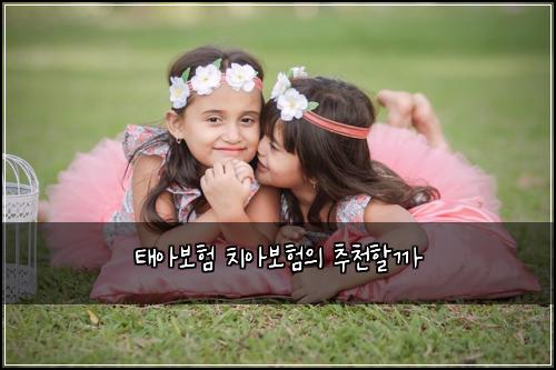 태아보험 치아보험의 추천할까