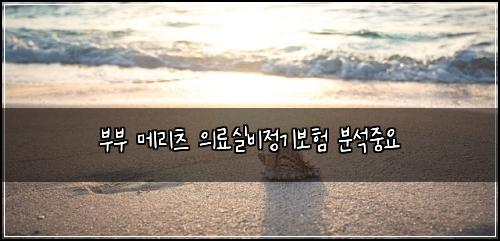 부부 메리츠 의료실비정기보험 분석중요 