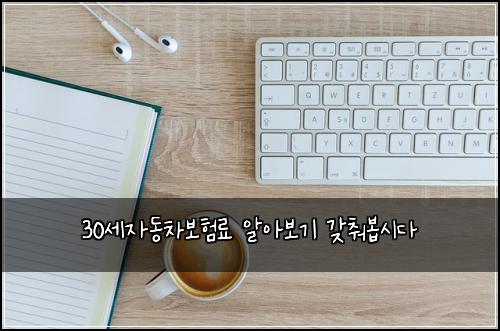 30세자동차보험료 알아보기 갖춰봅시다