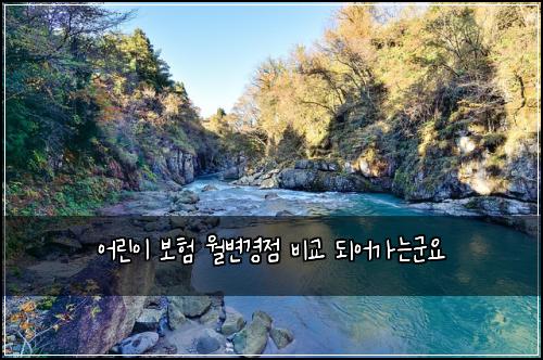 어린이 보험 월변경점  비교 되어가는군요