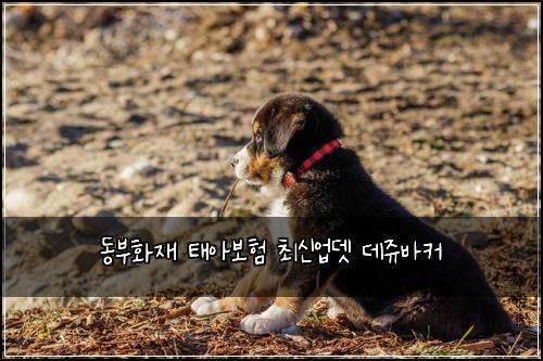 ๋๋ถํ์ฌ ํ์๋ณดํ ์ต์ ์
๋ ๋ฐ์ฅฌ๋ฐ์ปค