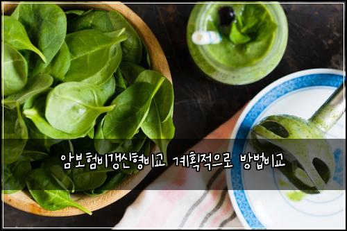 암보험비갱신형비교 계획적으로 방법비교