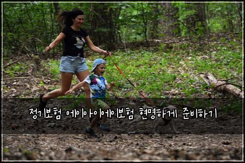 정기보험 에이아이에이보험 현명하게 준비하기