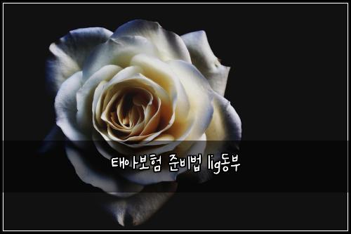ํ์๋ณดํ ์ค๋น๋ฒ lig๋๋ถ