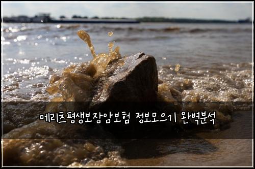 ๋ฉ๋ฆฌ์ธ ํ์๋ณด์ฅ์๋ณดํ ์ ๋ณด๋ชจ์ผ๊ธฐ ์๋ฒฝ๋ถ์