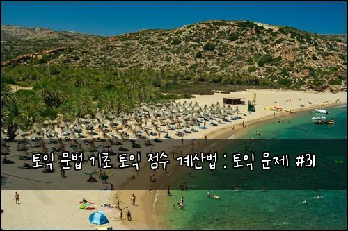 토익 문법 기초 토익 점수 계산법 : 토익 문제 #31