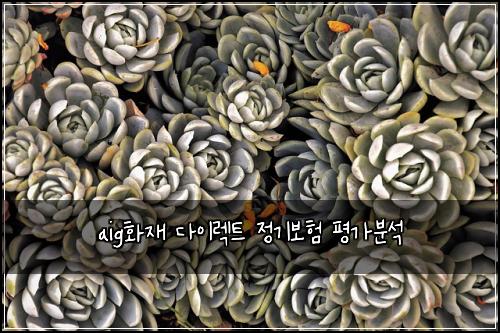 aig화재 다이렉트 정기보험 평가분석 