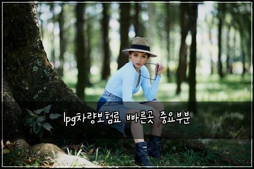 lpg차량보험료 빠른곳 중요부분