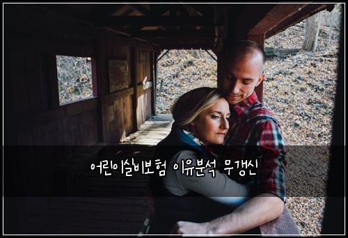 ์ด๋ฆฐ์ด์ค๋น๋ณดํ ์ด์ ๋ถ์ ๋ฌด๊ฐฑ์