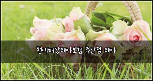 현대해상태아보험 주안점  태아