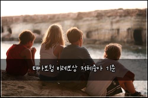 νμ보ν λΉλ‘보μ μ 체μ€μ κΈ°μ€