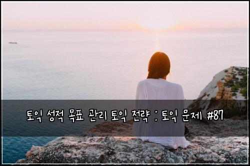 토익 성적 목표 관리 토익 전략 : 토익 문제 #87