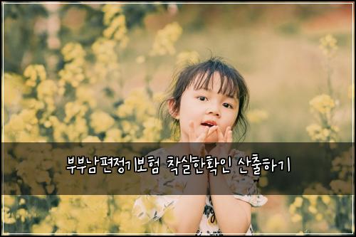 부부남편정기보험 착실한확인  산출하기