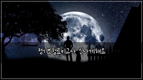 정기보험료비교사 신나게해요