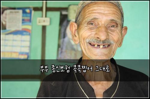 부부 종신보험 콕콕찝어  그대로